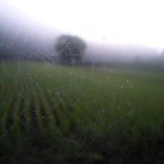 Fantastic Granite Shoes