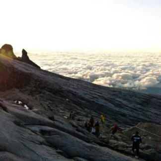 Synergistic Bronze Lamp