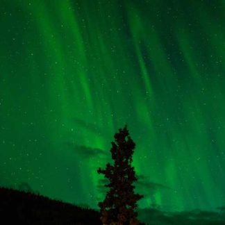 Lightweight Paper Shirt