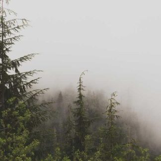 Aerodynamic Linen Pants