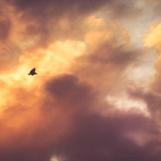 Intelligent Bronze Plate