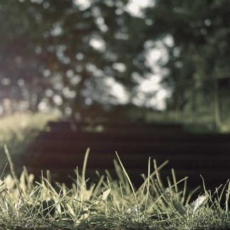 Awesome Paper Gloves