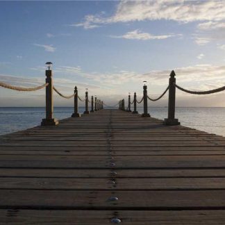 Fantastic Copper Coat