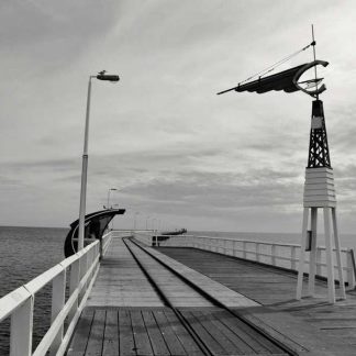 Synergistic Rubber Watch