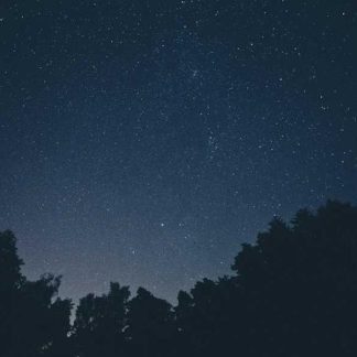 Practical Leather Chair