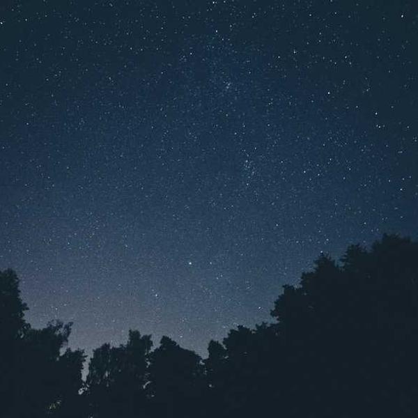 Practical Leather Chair