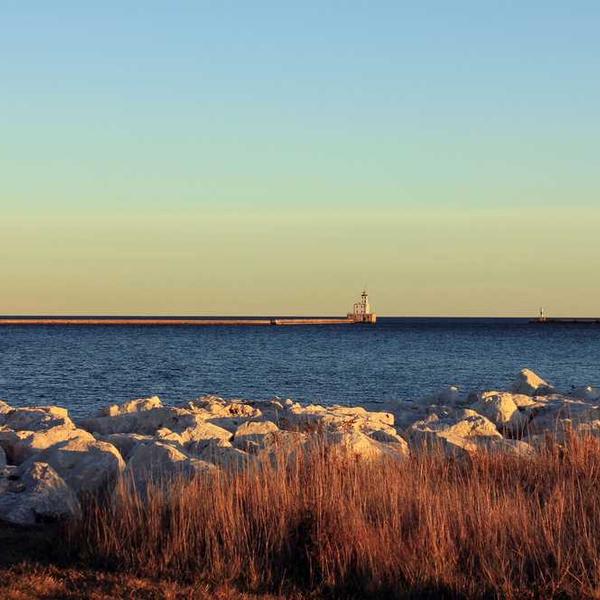 Synergistic Wool Bag