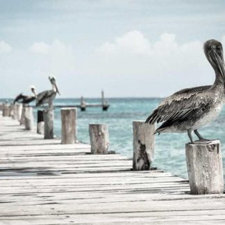 Lightweight Paper Bag