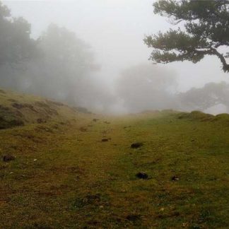 Sleek Paper Computer