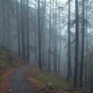 Intelligent Granite Bag